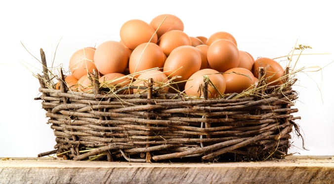 all eggs in one basket